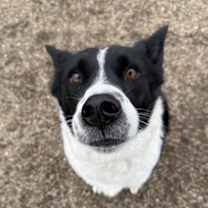 Thumbnail photo of Sophie #4