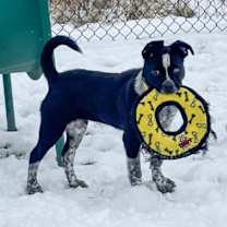 Thumbnail photo of Tipsy #3