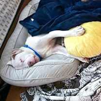 Thumbnail photo of Walter #3