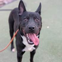 Thumbnail photo of Luno #2