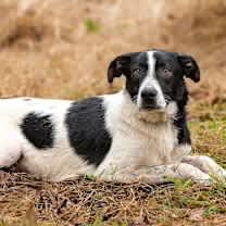 Thumbnail photo of Mikey #2