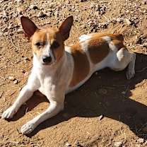 Thumbnail photo of Jacob EJS #1