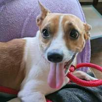 Thumbnail photo of Jacob EJS #2