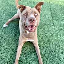 Thumbnail photo of GHOST #1