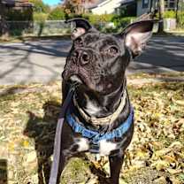 Thumbnail photo of Babybel #3