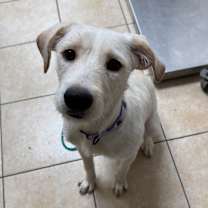 Thumbnail photo of Race #3