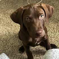 Thumbnail photo of Fella #2