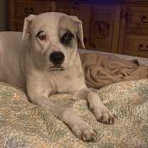 Thumbnail photo of Lola #1