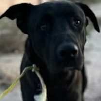 Thumbnail photo of Atlas #2