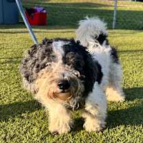 Thumbnail photo of Slinky #2