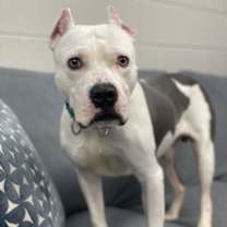 Thumbnail photo of Icee #2