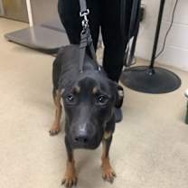 Thumbnail photo of Zane #1