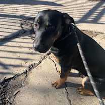 Thumbnail photo of Zane #2