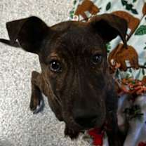 Thumbnail photo of Parker #1