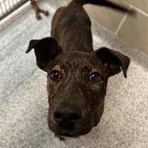 Thumbnail photo of Parker #2