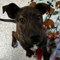 Thumbnail photo of Parker #3