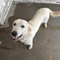 Thumbnail photo of 59894479 #2