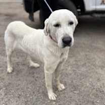 Thumbnail photo of 59894479 #3