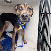 Thumbnail photo of Toast #2