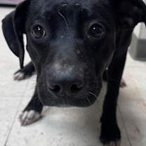 Thumbnail photo of Maeve #3