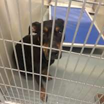 Thumbnail photo of Effie #2