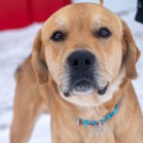 Thumbnail photo of Maverick #2