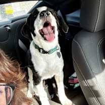 Thumbnail photo of Lola #1