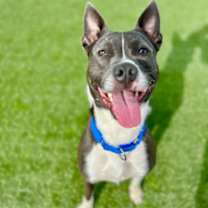 Thumbnail photo of Lacie #1