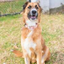 Thumbnail photo of Belinda #2