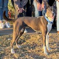 Thumbnail photo of Lacie #3