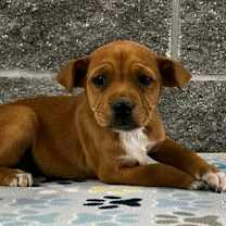 Thumbnail photo of Jenna #1