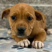 Thumbnail photo of Jenna #2