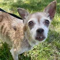 Thumbnail photo of Heidi Clark #3