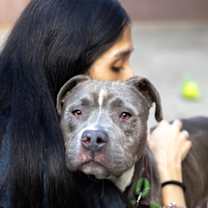 Thumbnail photo of Mulpo #1