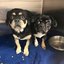 Thumbnail photo of Gorda #1