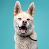 Thumbnail photo of Vladimir #1