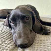 Thumbnail photo of Aatami #3