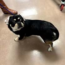 Thumbnail photo of Gorda #3