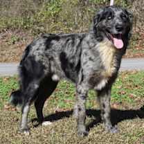 Thumbnail photo of Chase 42892 #1