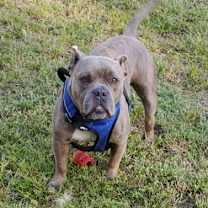 Thumbnail photo of Zeus #3