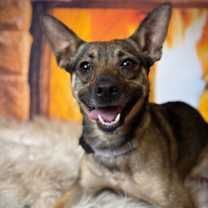 Thumbnail photo of Pita #1