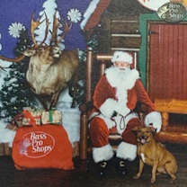 Thumbnail photo of Sabito #2