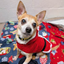 Thumbnail photo of Alvin #1