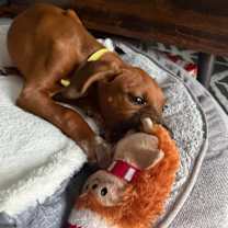 Thumbnail photo of Benny Bud #3