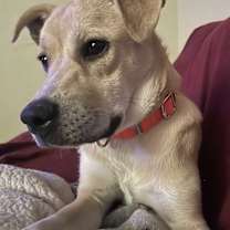 Thumbnail photo of Yahoo ~ meet me! #4