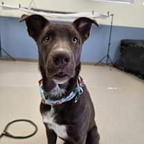 Thumbnail photo of Elsa #1