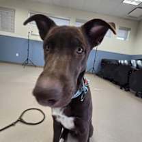 Thumbnail photo of Elsa #2