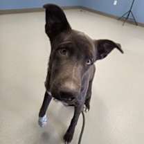 Thumbnail photo of Elsa #4