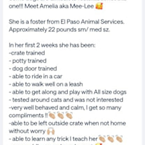 Thumbnail photo of Emilia* #4