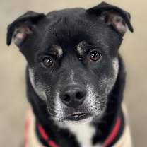 Thumbnail photo of Kitty #1